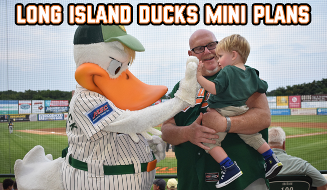 Ducks-Mini-Plans-Graphic.jpg